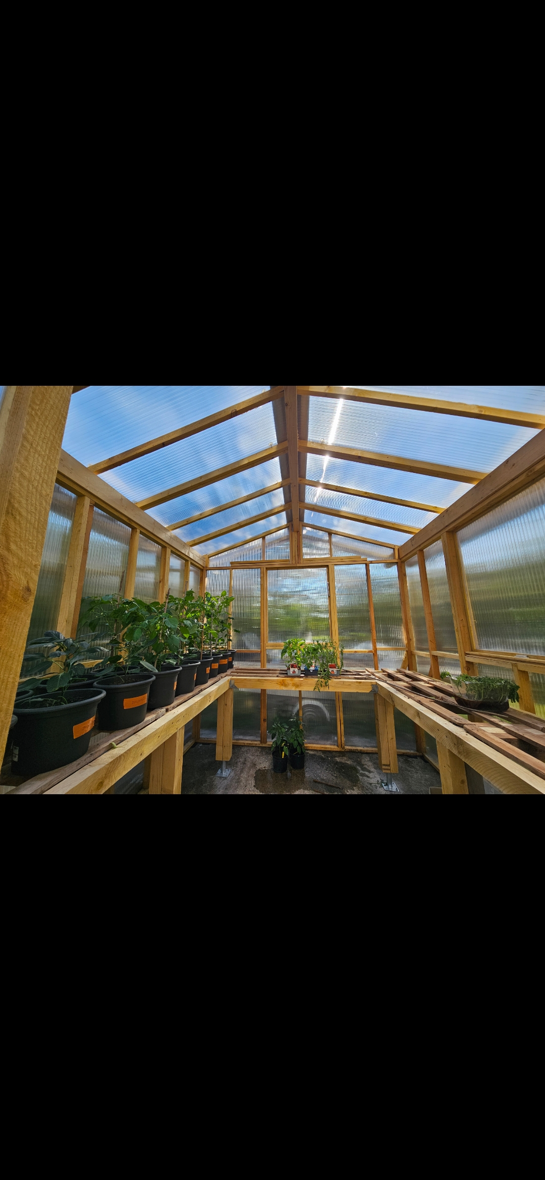 Dbb9b24f24bf23a0 1774956993