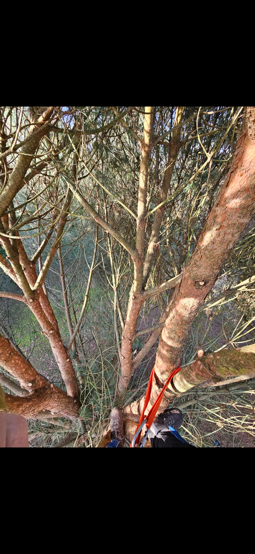 5fb6a6017dfc8eb7 1774958102