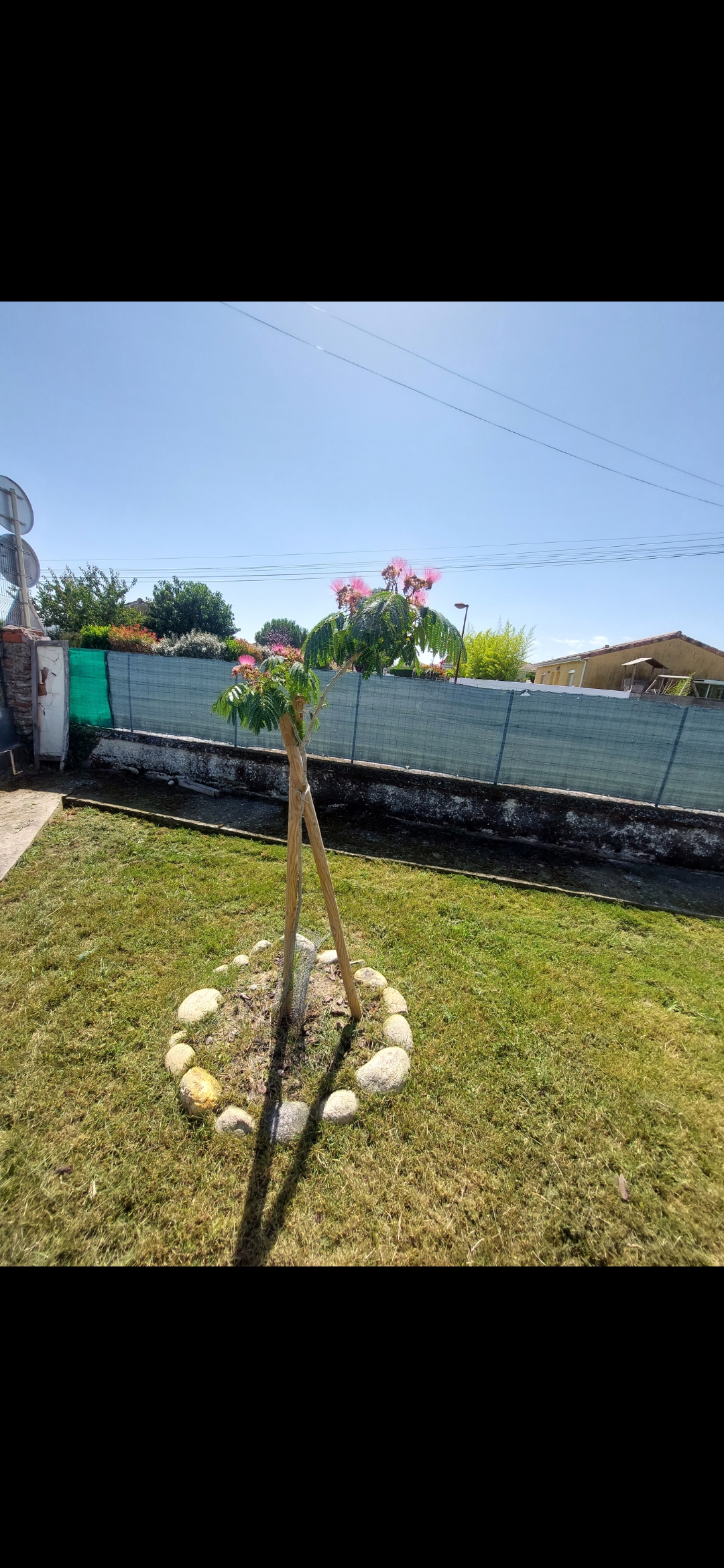 C6b4192b03ebd9b3 1774958697