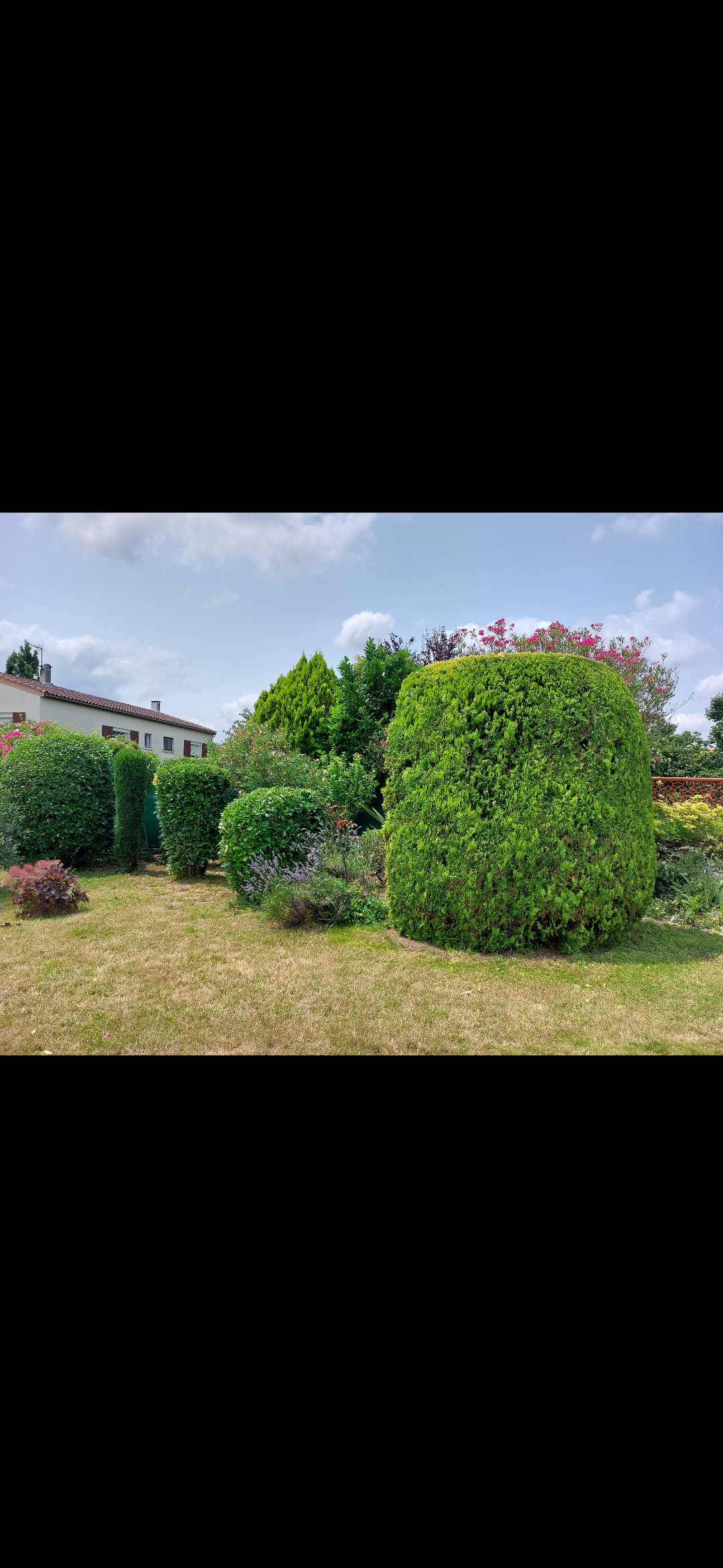 Cdf9f151aecac56c 1774958763